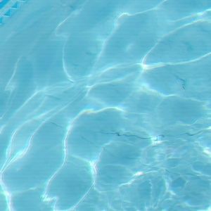 Meet your Posher, Dakota